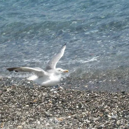 Tatil Evi Taormina Bay Lucia's House *
